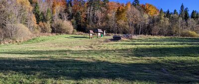 Dolina potoku Muczne [Bieszczady - Arenda: poczatek szlaku do wieży widokowej na Jeleniowatym]