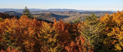 Jeleniowaty, wieża widokowa [Bieszczady - widok z wieży na Jeleniowatym w stronę Ukrainy]