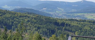 Trojak [Na punkcie widokowym na Trojaku: Śnieżnik, Mały Śnieżnik, Czarna Góra, na tle Śnieżnika Młyńsko, kopka na prawo to Janowiec, za nią ledwo widoczna Rudka, a na najbliższym planie Sowia Kopa zaraz za lasem]