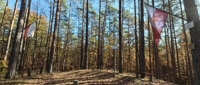 Ścieżka na Kawcze Góry ↔ Smolarz, las