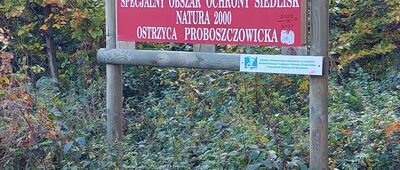 Rozdroże pod Ostrzycą ↔ Proboszczów