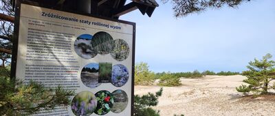 Rąbka, wyrzutnia rakiet ↔ Rąbka