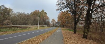 Dęblin, ul. Balonna ↔ Dęblin, rondo Dęblińskich Saperów [ul. Podchorążych]