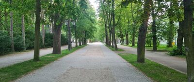 Cieplice, Park Zdrojowy