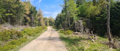 Szklarska Droga ↔ Rozdroże pod Izerskimi Garbami