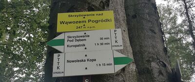 Skrzyżowanie nad Wąwozem Pogródki