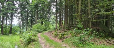 Pod Úpratiskami ↔ Zborov nad Bystricou