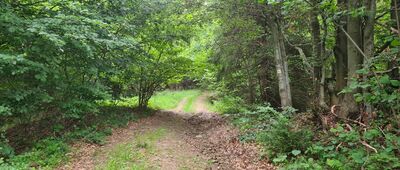 Pod Úpratiskami ↔ Zborov nad Bystricou