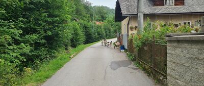 Pod Úpratiskami ↔ Zborov nad Bystricou