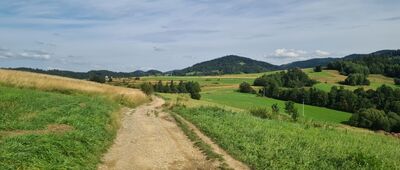 Rabka-Zdrój, ul. Parkowa ↔ Maciejowa