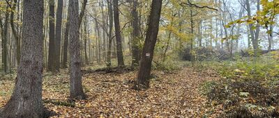 Oborniki Śląskie, ul. Kościuszki ↔ Wzgórze Holtei'a, skrzyżowanie