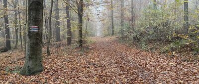 Oborniki Śląskie, rozejście szlaków