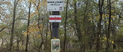 Kuraszków ↔ Pod Kuraszkową Górą