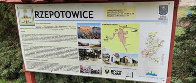 Rzepotowice ↔ Marcinowo