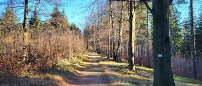 Skrzyżowanie szlaków niebieski / żółty