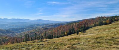 Magurka Radziechowska ↔ Hala Radziechowska