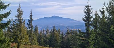 Kotarnica ↔ Romanka