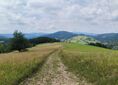 Rezerwat Wierchomla ↔ Wierchomla Wielka