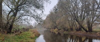 Żurawia Kępa, rozejście szlaków ↔ Świecie, zamek [rzeka Wda]