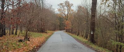 Stagniewo, skrzyżowanie [ul. Daleka.]