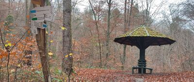 Rozejście szlaków ↔ Potok Srebrny ["Parasol" - historyczne miejsce odpoczynku elblążan w parku Bażantarnia.]