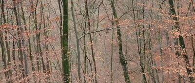 Rozejście szlaków ↔ Rozejście szlaków