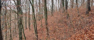 Rozejście szlaków ↔ Rozejście szlaków