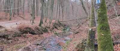 Mostek Elewów [Przy Moście Elewów]