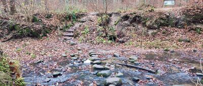 Mostek Elewów [Mostek Elewów]