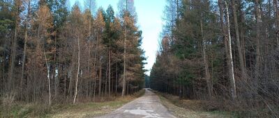 Składnica Dalejowska