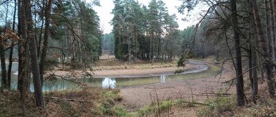 Skarżysko-Kamienna, Muzeum im. Orła Białego ↔ Zalew Rejowski