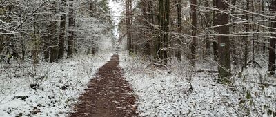 Rozejście szlaków ↔ Rozejście szlaków