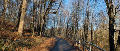 Pod Wzgórzem Krzywoustego ↔ Aleja Bolesława Krzywoustego [Aleja Bolesława Krzywoustego]