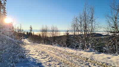 Widok na Tatry z czarnego szlaku na Halę Krupową na wysokości ok. 990 m n.p.m.