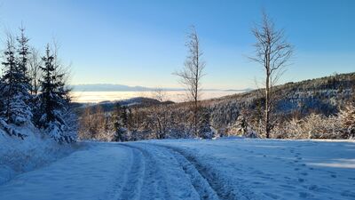 Widok na Tatry z czarnego szlaku na Halę Krupową na wysokości ok. 1020  m n.p.m.