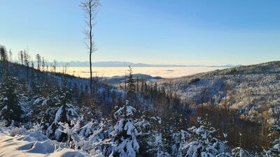 Widok na Tatry z czarnego szlaku na Halę Krupową na wysokości ok. 1060 m n.p.m.