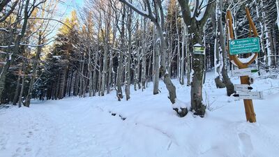 Rozejście szlaków przy Hali Krupowej