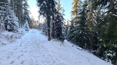 Rozejście szlaków przy Hali Krupowej