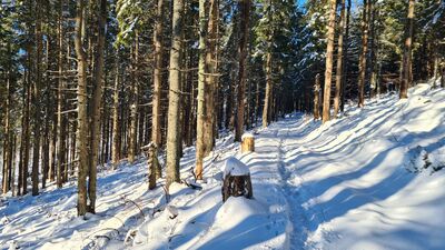 Czerwono-zielony szlak na Policę pod Jasną Grapą