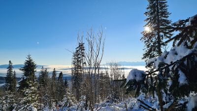 Widok na Tatry z czerwonego szlaku na Policę na wysokości ok. 1320 m n.p.m.
