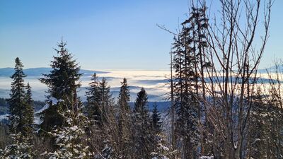 Czerwony szlak na Policę na wysokości ok. 1260 m n.p.m.