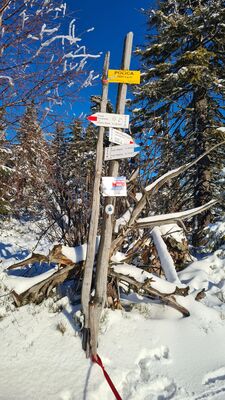 Drogowskaz na Policy 1369 m n.p.m.