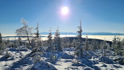 Panorama Tatr z Policy