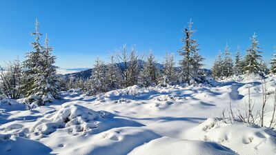Babia Góra z Policy