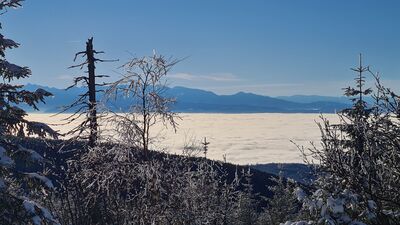 Panorama Tatr z Policy