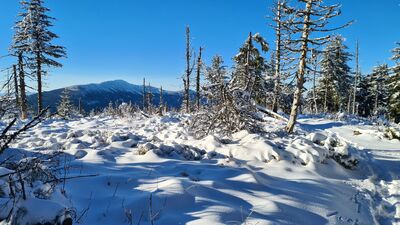Babia Góra spod Pomnika ofiar katastrofy lotniczej z 1969 r. na Policy