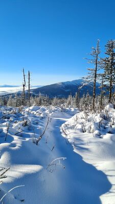 Babia Góra spod Pomnika ofiar katastrofy lotniczej z 1969 r. na Policy