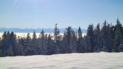 Panorama Tatr z Kociej Łapy 1182 m n.p.m.