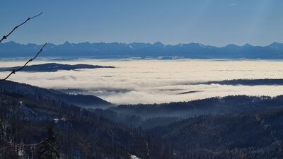 Widok na Tatry ze Schroniska PTTK na Hali Krupowej