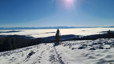 Panorama Tatr z Hali Krupowej